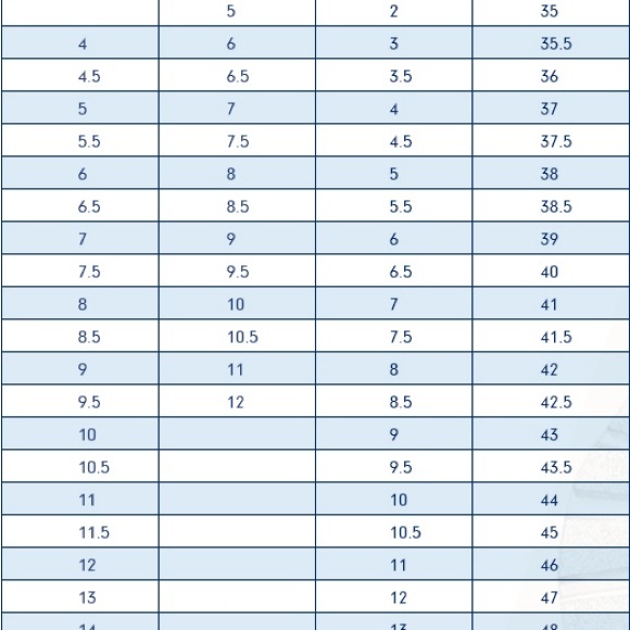 Blundstone Classic Rustic Black - Picture 6 of 6